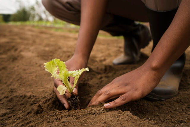 Sustainable Agriculture